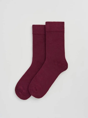 Dark Plum