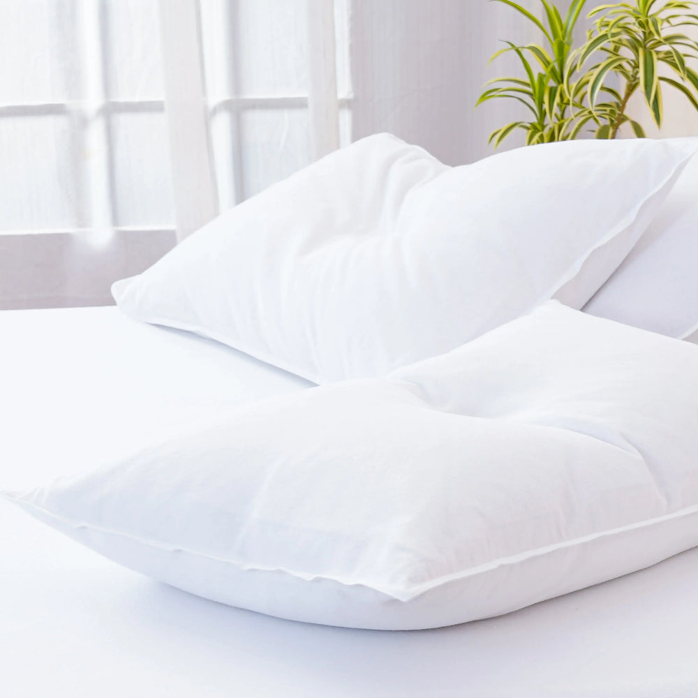 Bella Flannelette (Brushed Cotton) - White Pillowcases Pair SHEET STORY