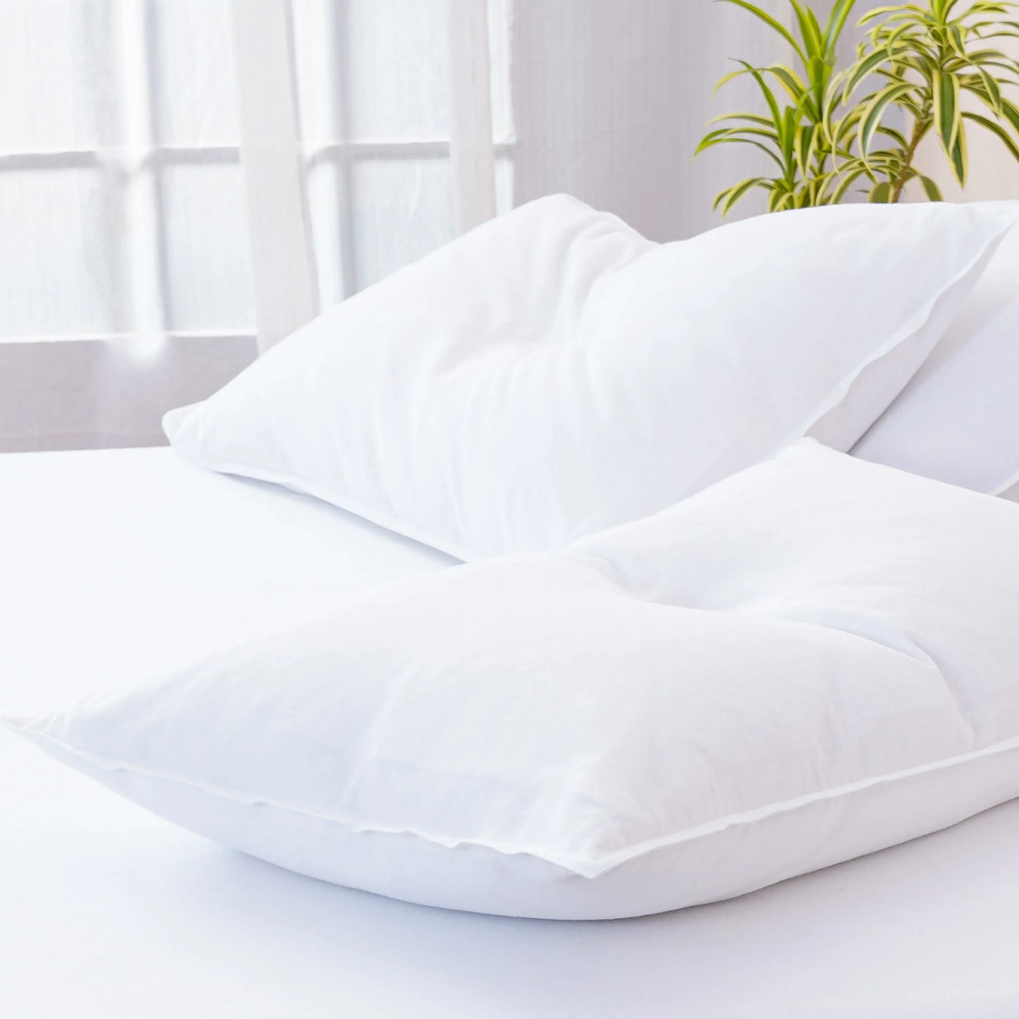 Bella Flannelette (Brushed Cotton) - White Pillowcases Pair SHEET STORY