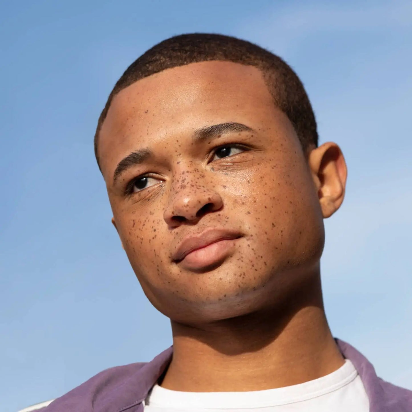 Best of Plenaire - the Deluxe Sampling set Plenaire