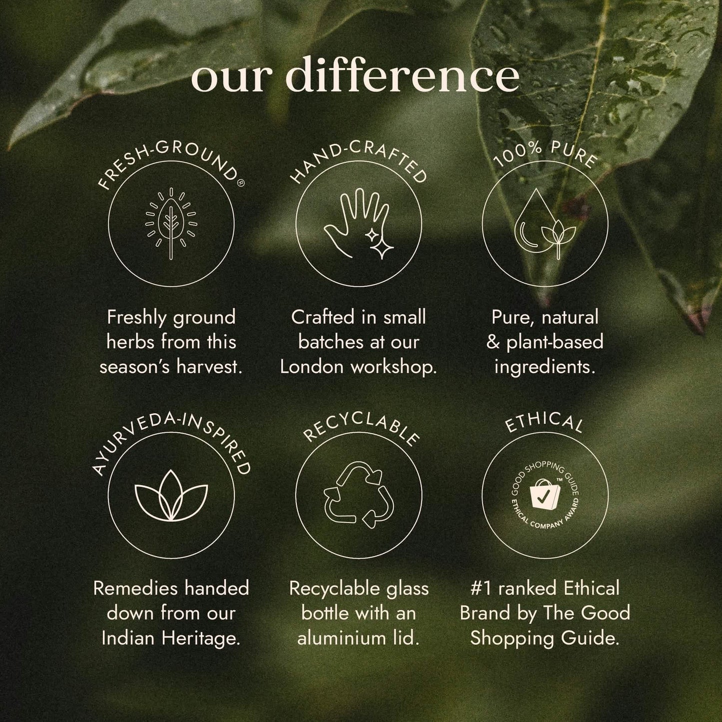 Biotic Balance Fushi Wellbeing