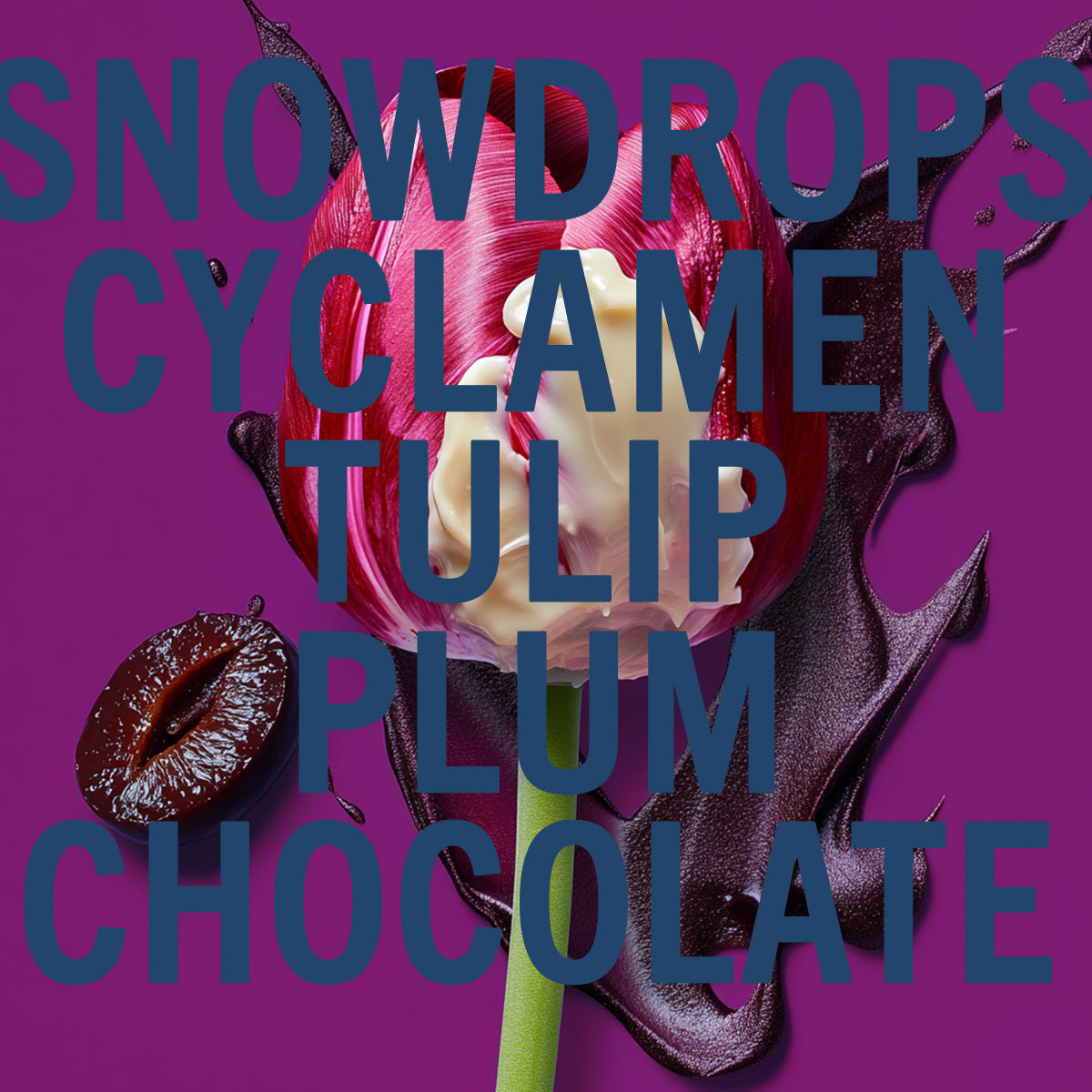 Black Tulip Fragrance 10ml Shay & Blue UK