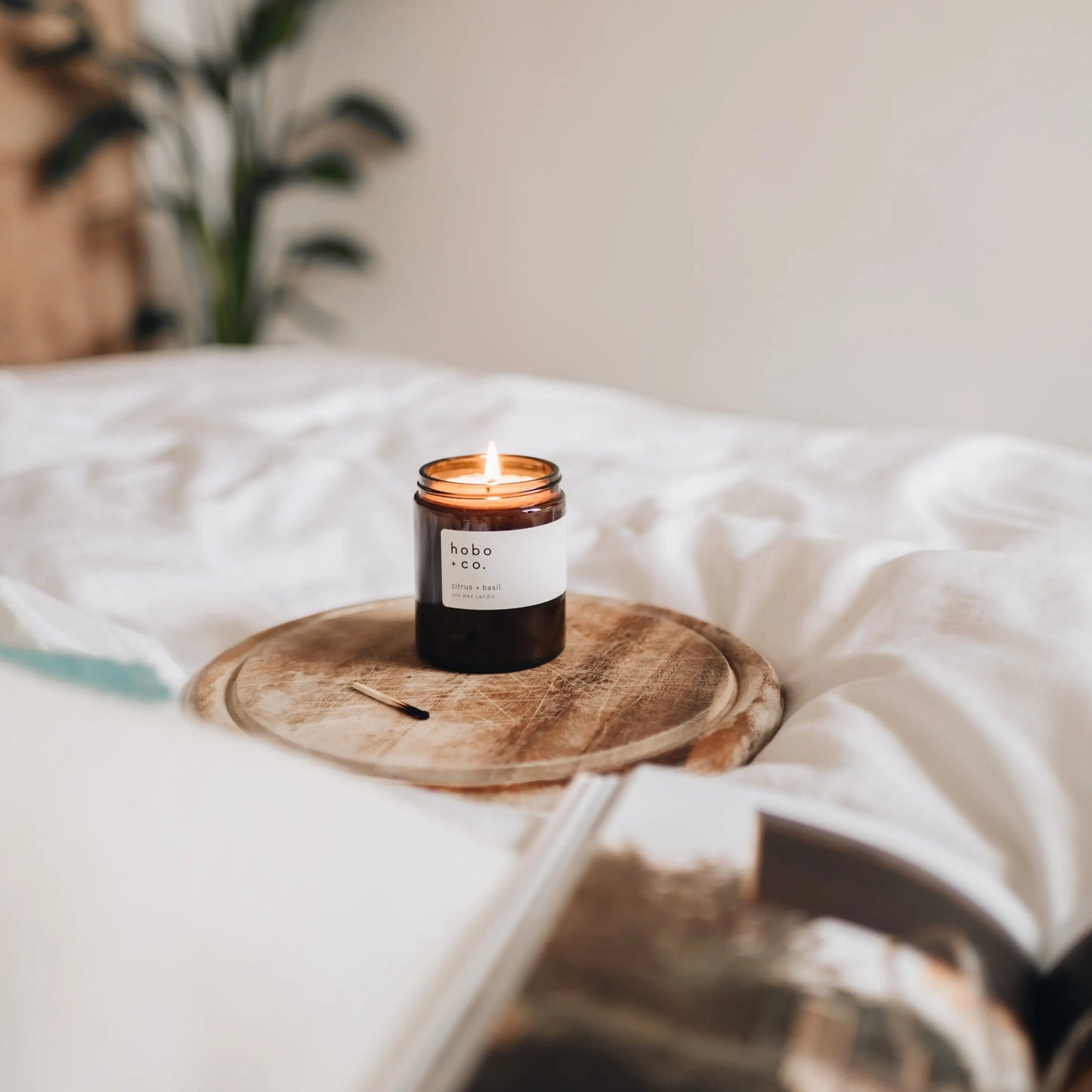 Bloom Medium Aromatherapy Essential Oil Scented Soy Candle hobo + co.