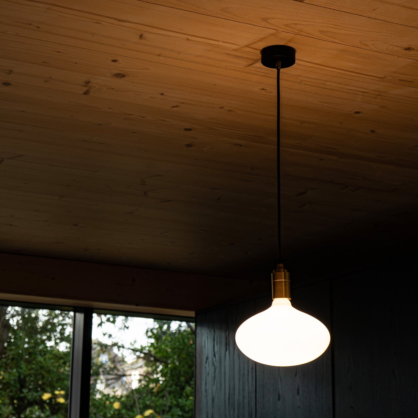 Oval II Pendant Light in Brass Tala