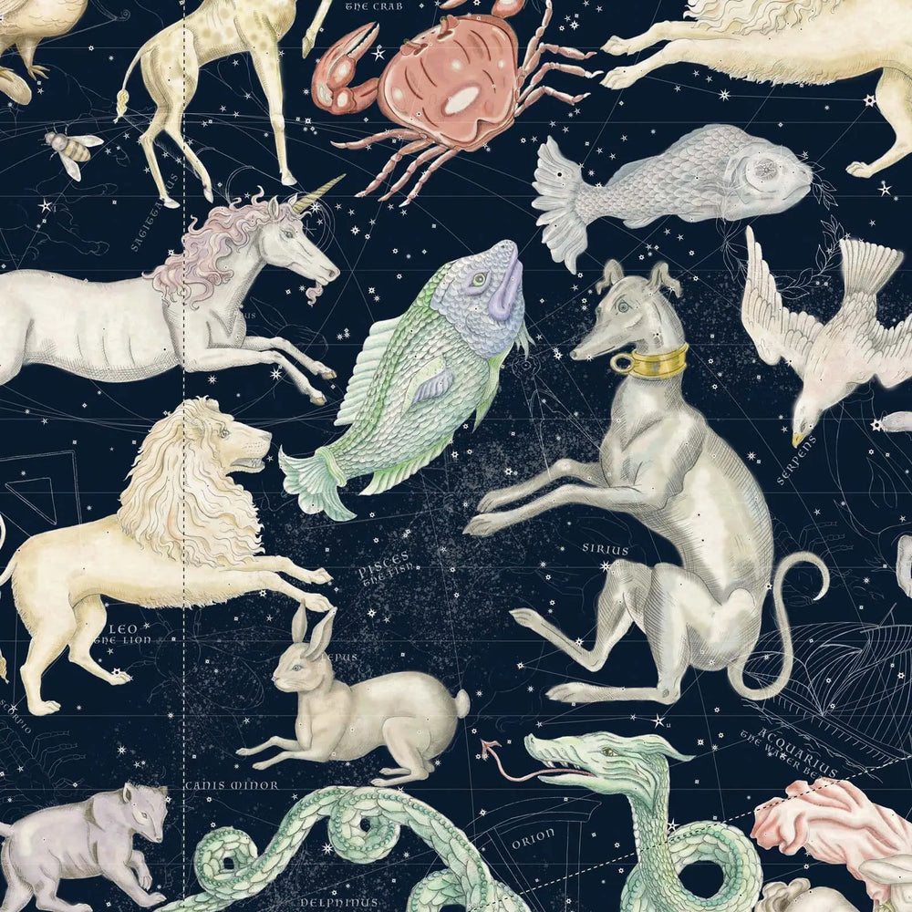 COSMOS Wallpaper - Midnight House of Hackney
