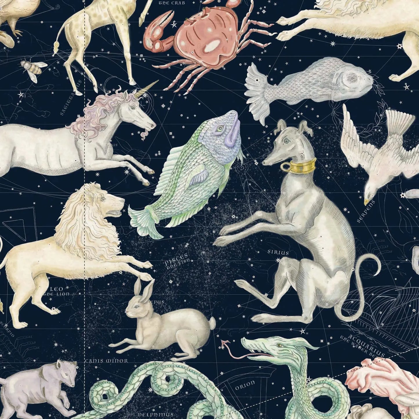 COSMOS Wallpaper - Midnight House of Hackney