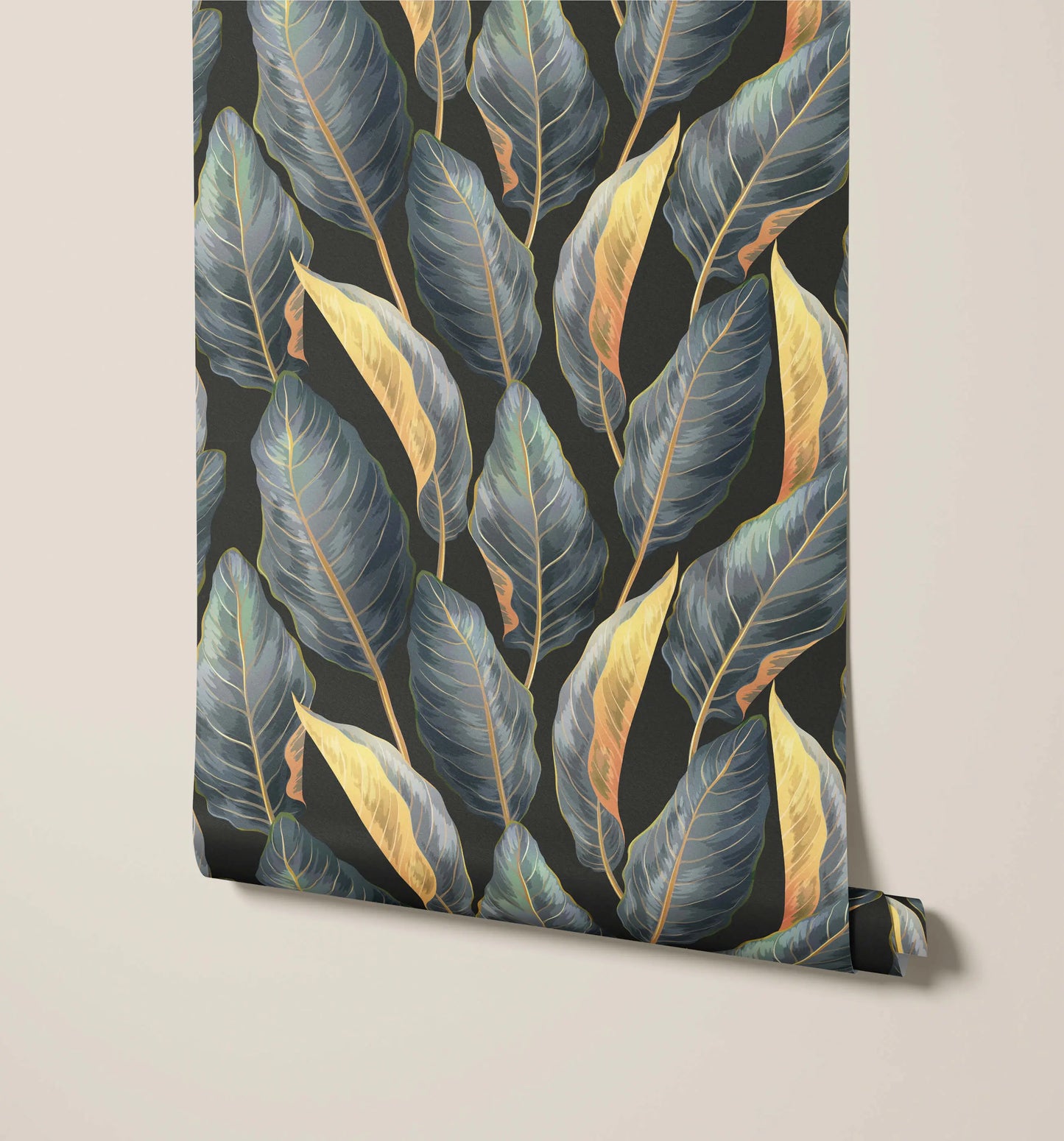Calathea Bobbi Beck