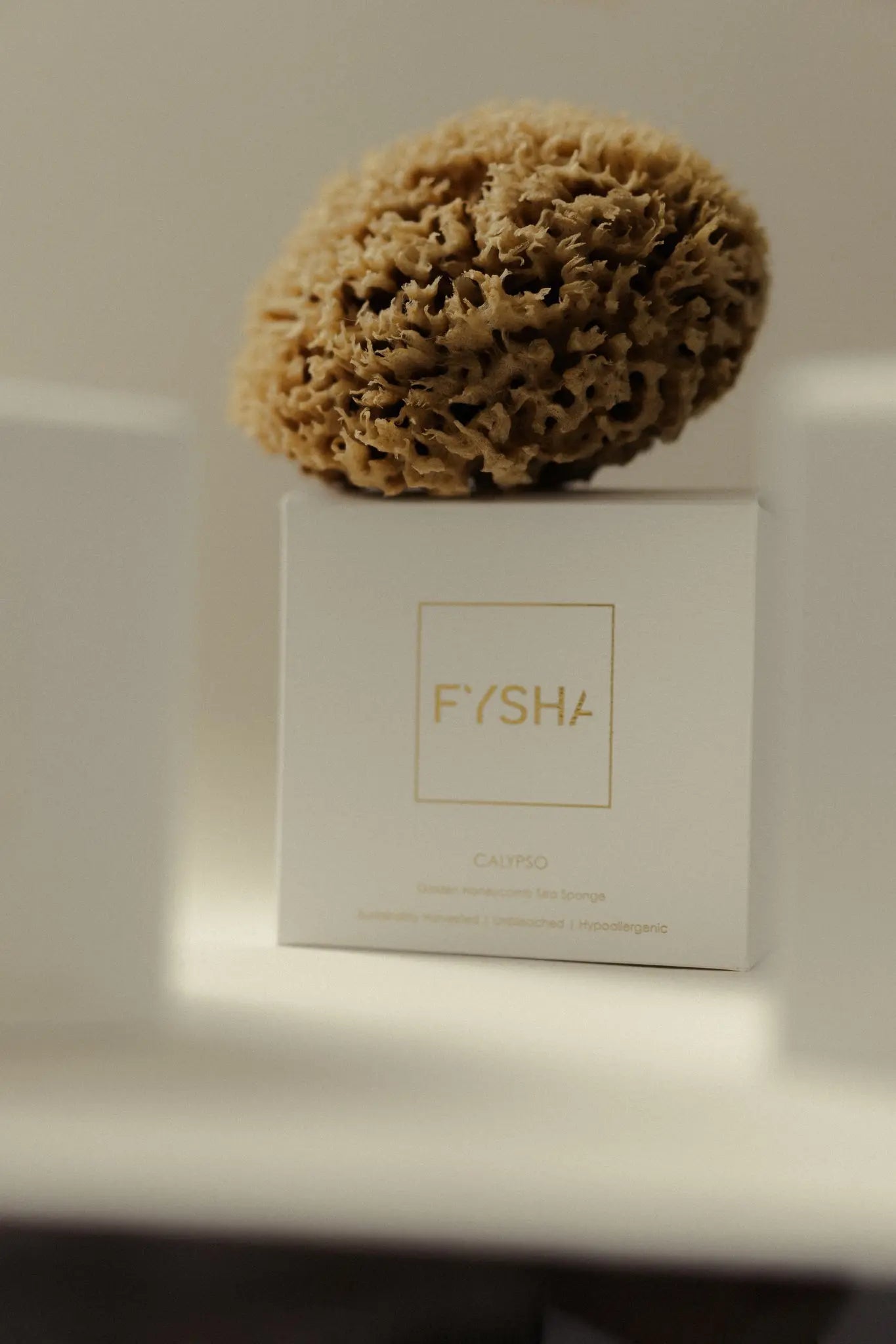 Calypso Golden Honeycomb Body Sea Sponge FYSHA