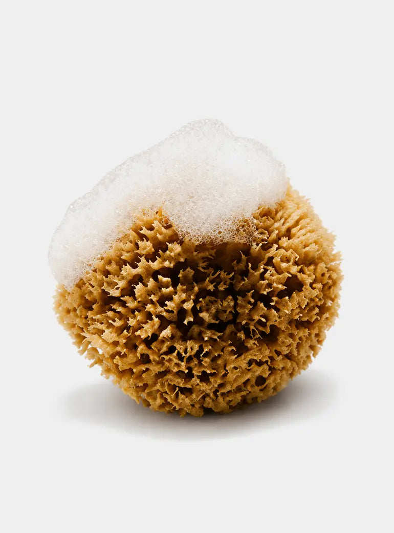 Calypso Golden Honeycomb Body Sea Sponge FYSHA