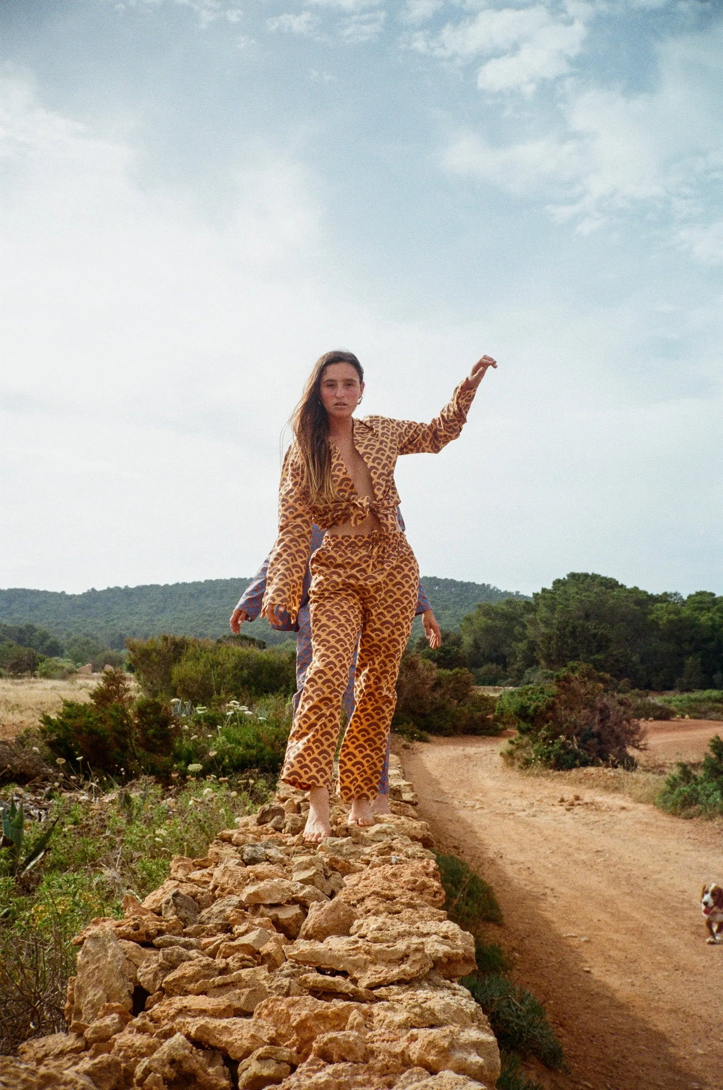 Can Shell (Brown) Unisex Cotton Pyjama Trouser / Pyjama Trouser Set French William