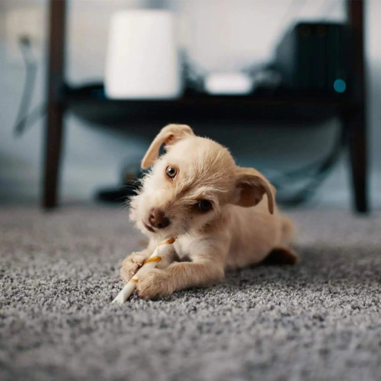 Chicago Grey Shaggy Rug The Rugs