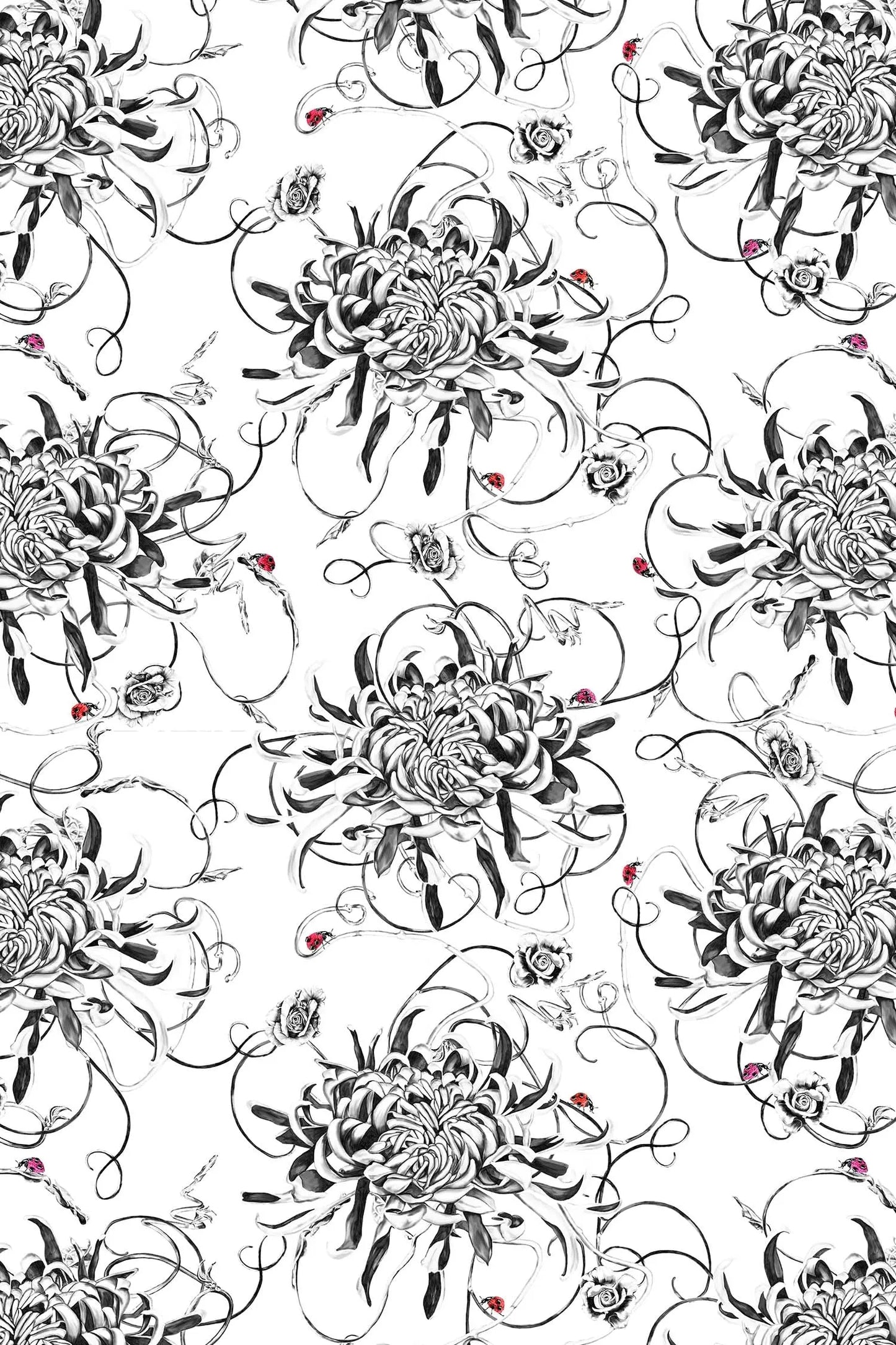 Chrysanthemum Wallpaper - White Susannah Weiland Collections
