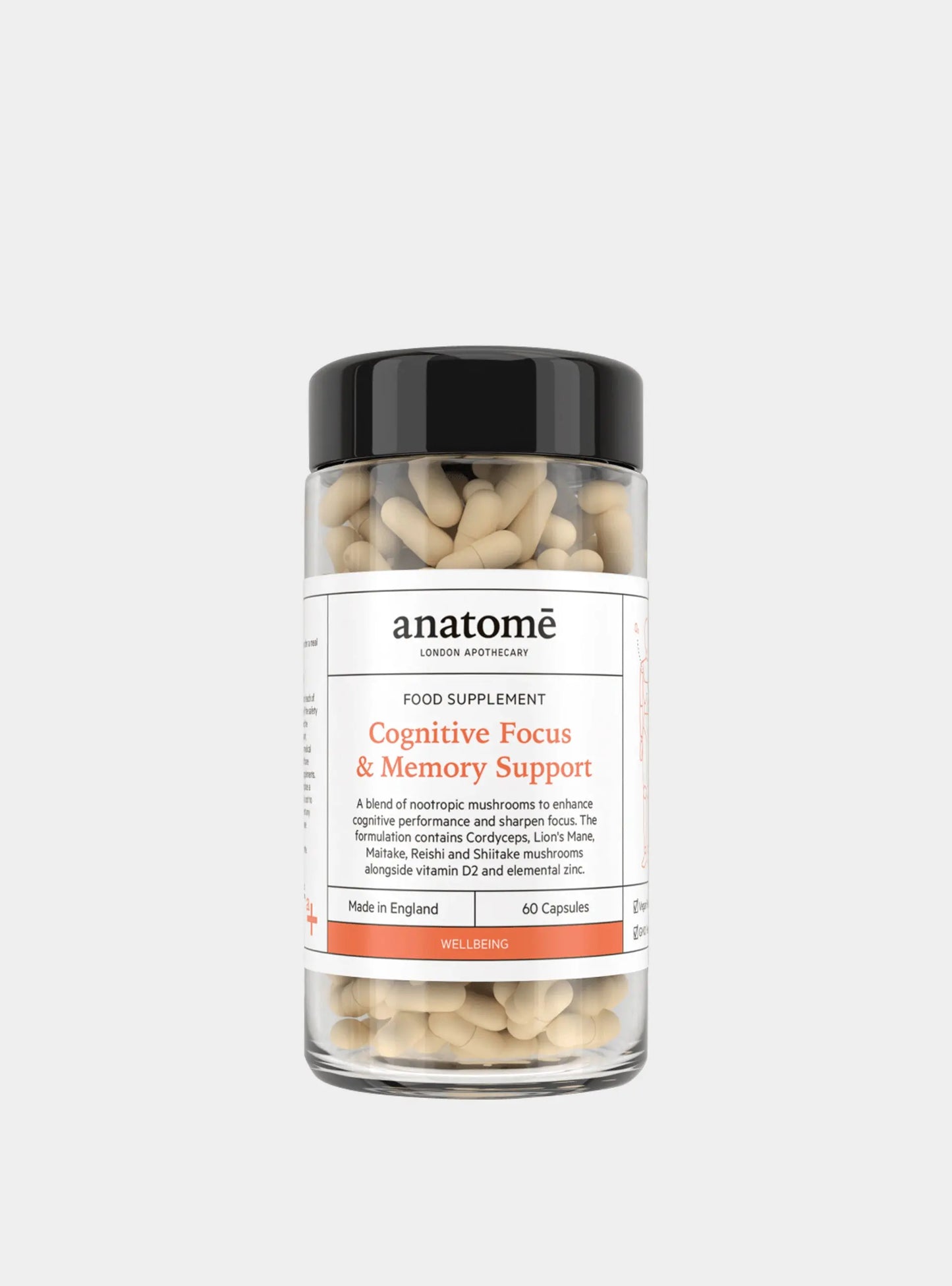 Cognitive Focus & Memory Support anatomē
