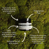 Collagen Boosting Skincare Kloris