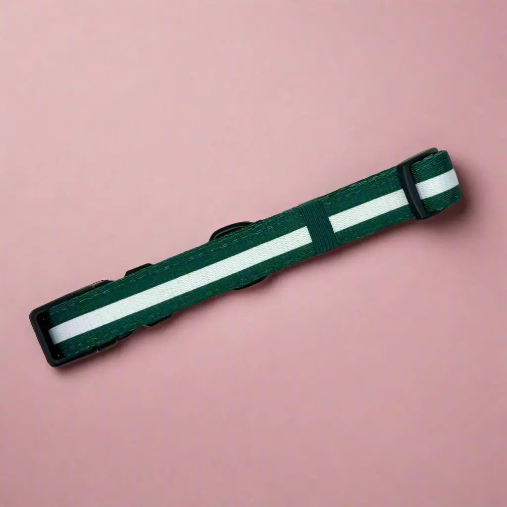 Collar - Forest Green PupClub Couture