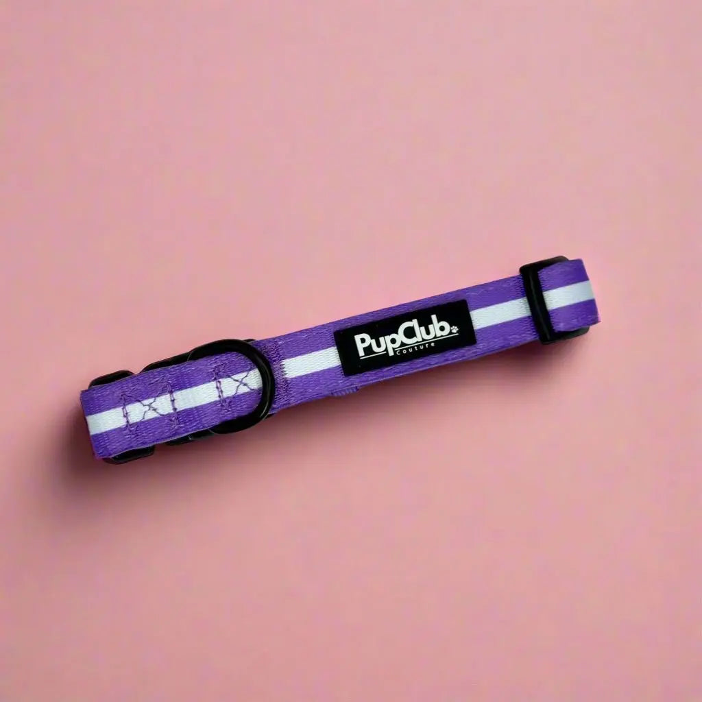 Collar - Lilac Blush PupClub Couture