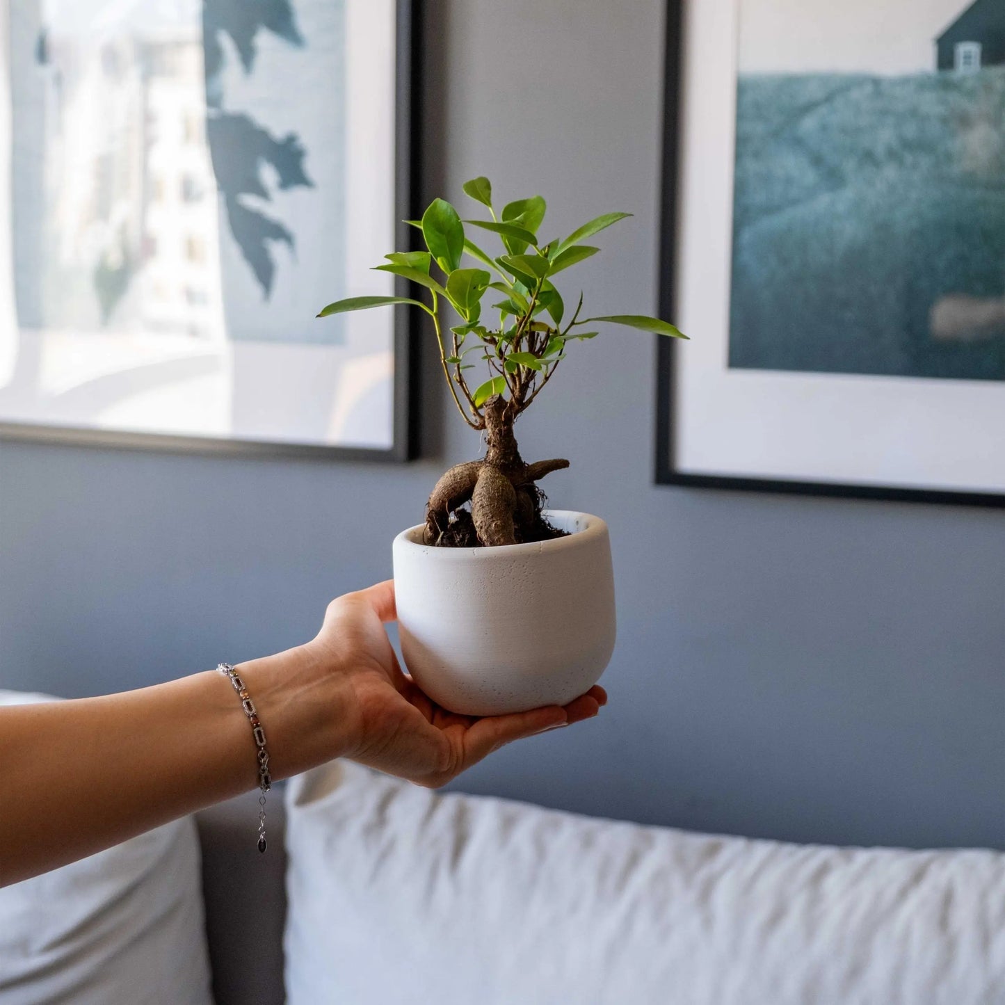 Concrete Big Dolphin Pot Gloria Home