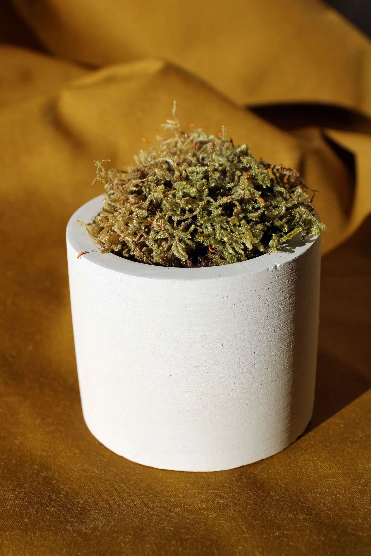 Concrete Cylinder Tealight Holder Gloria Home
