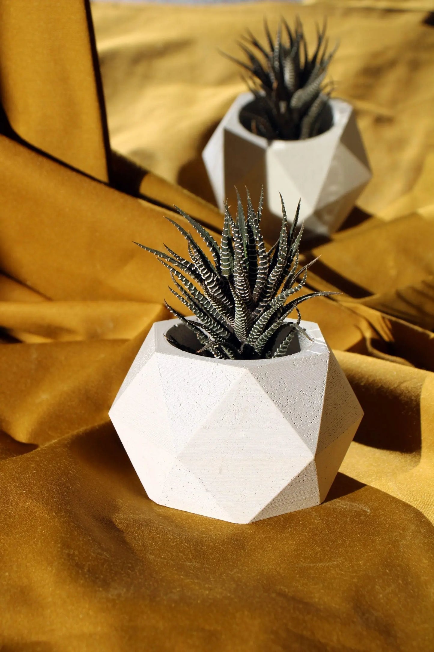 Concrete Hexagonal Pot Gloria Home