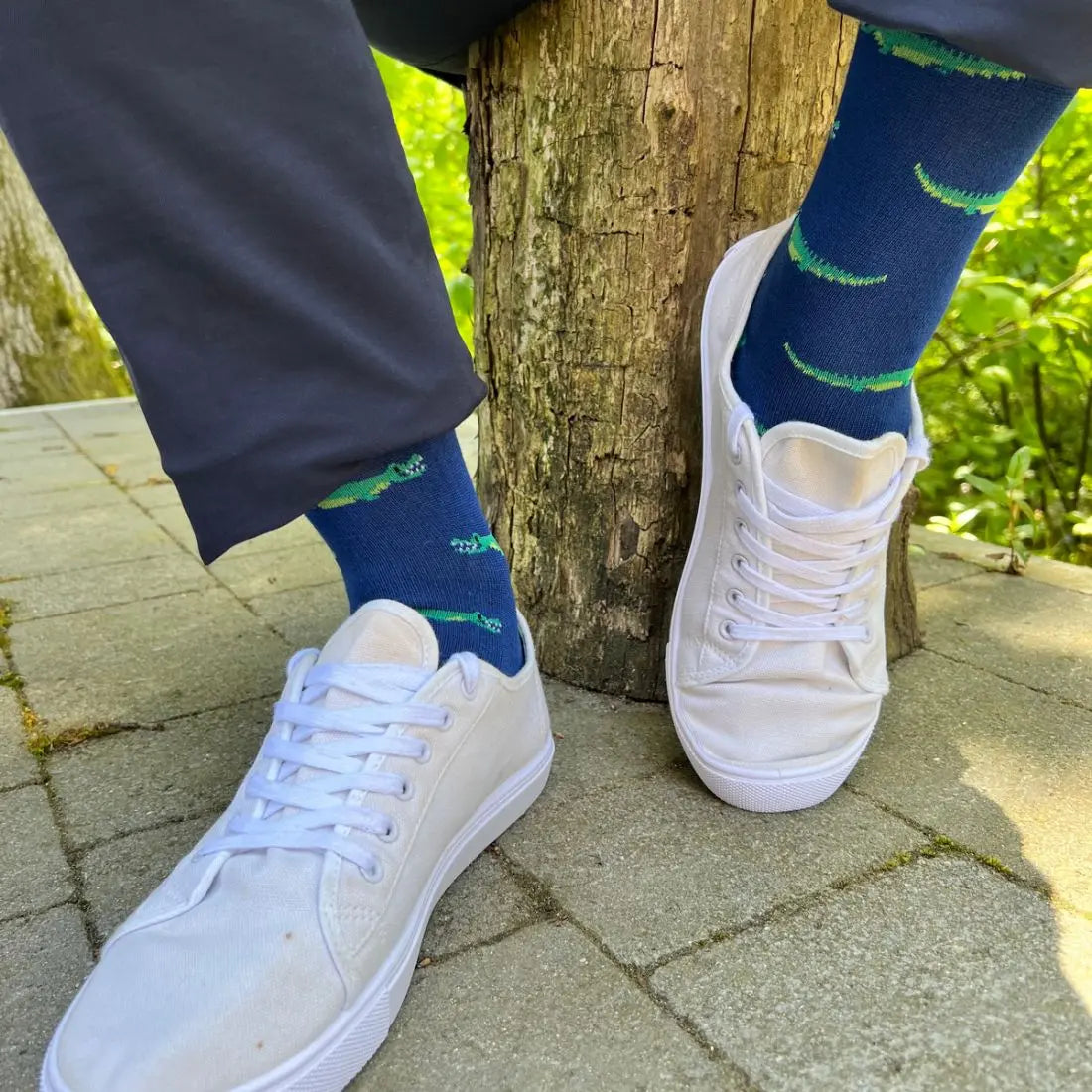 Crocodile Bamboo Socks Swole Panda