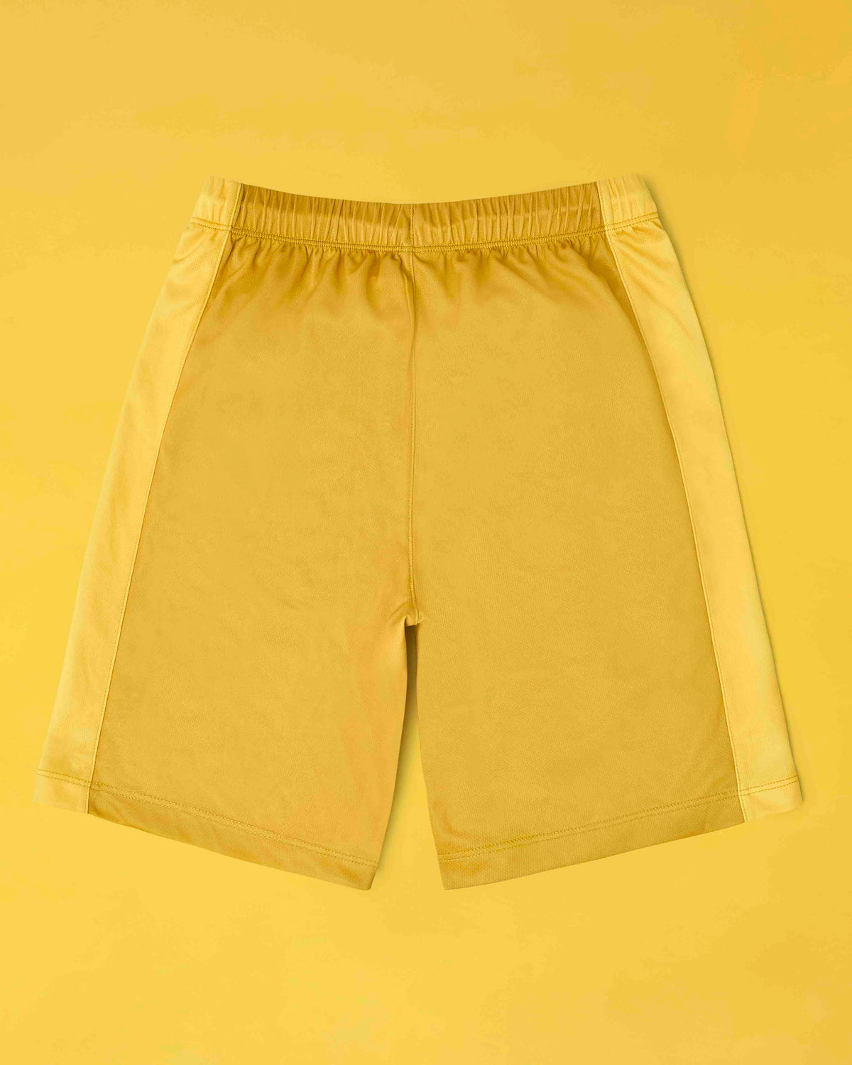 Cub the Lion - Riders Shorts ROARSOME