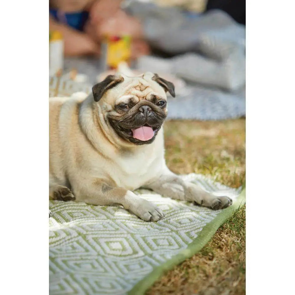 Diamond Green Hand-woven Rug The Rugs