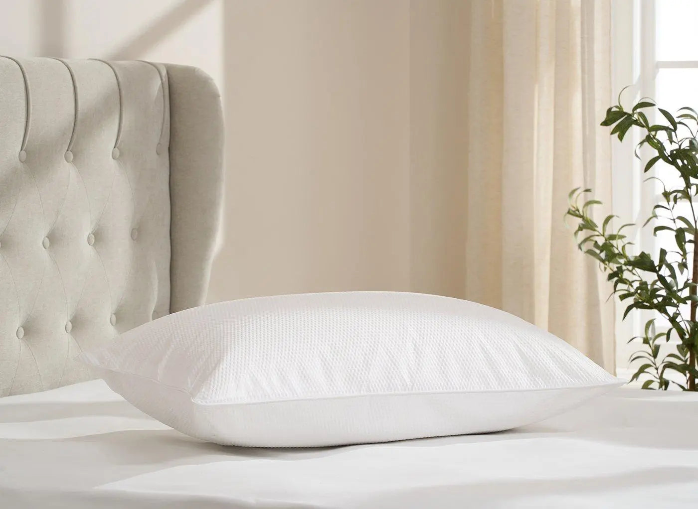 Dreams Extra Firm Support Pillow Dreams
