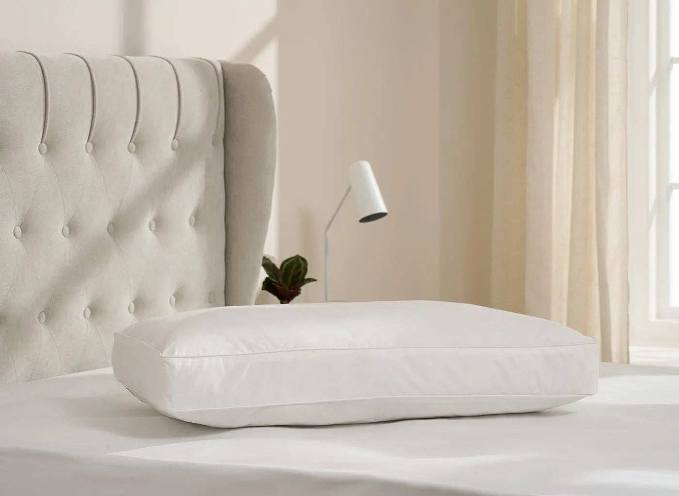 Dreams Front & Back Sleeper Pillow Dreams