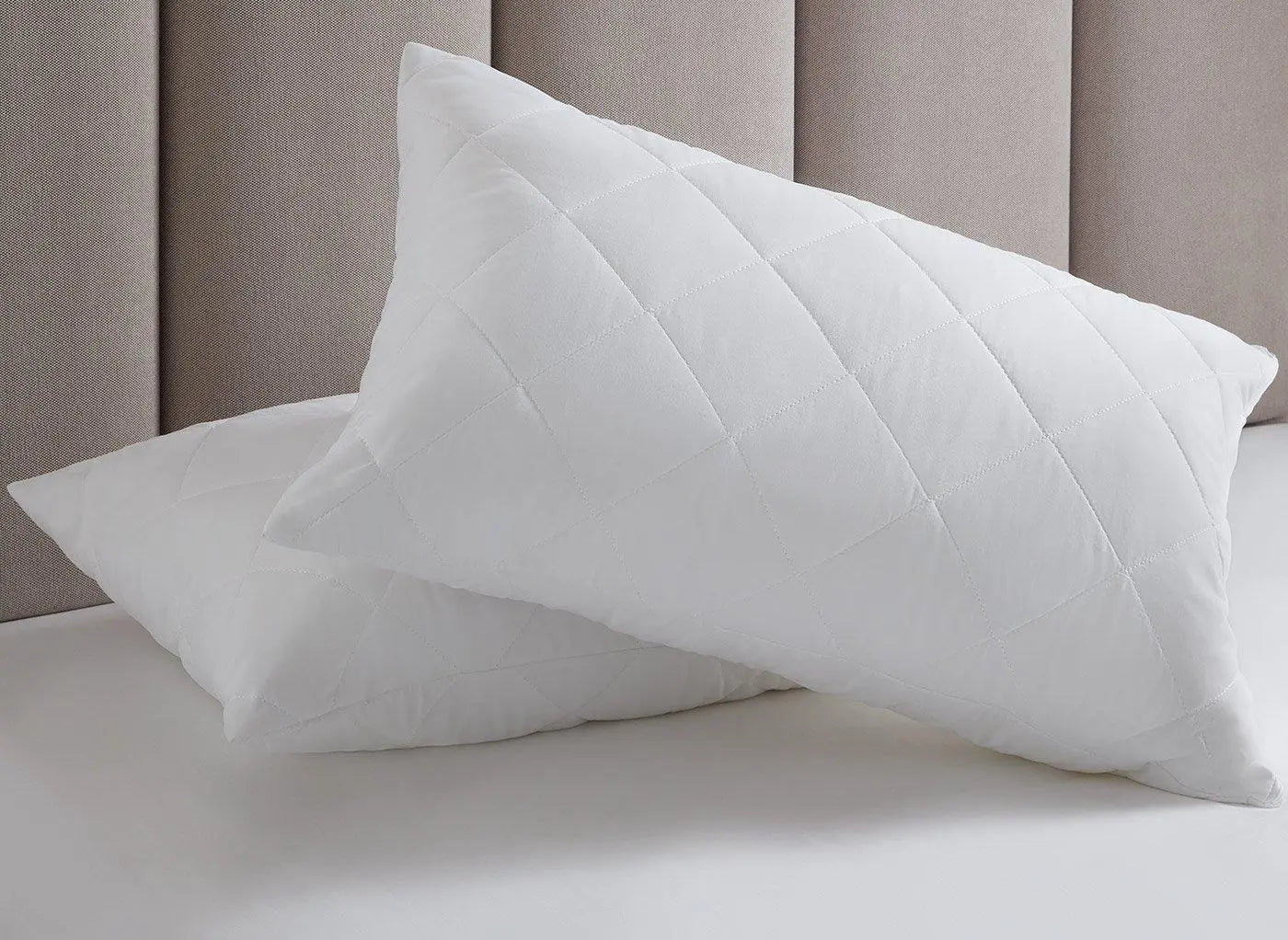 Dreams & Bouncy Pillow Protector Dreams