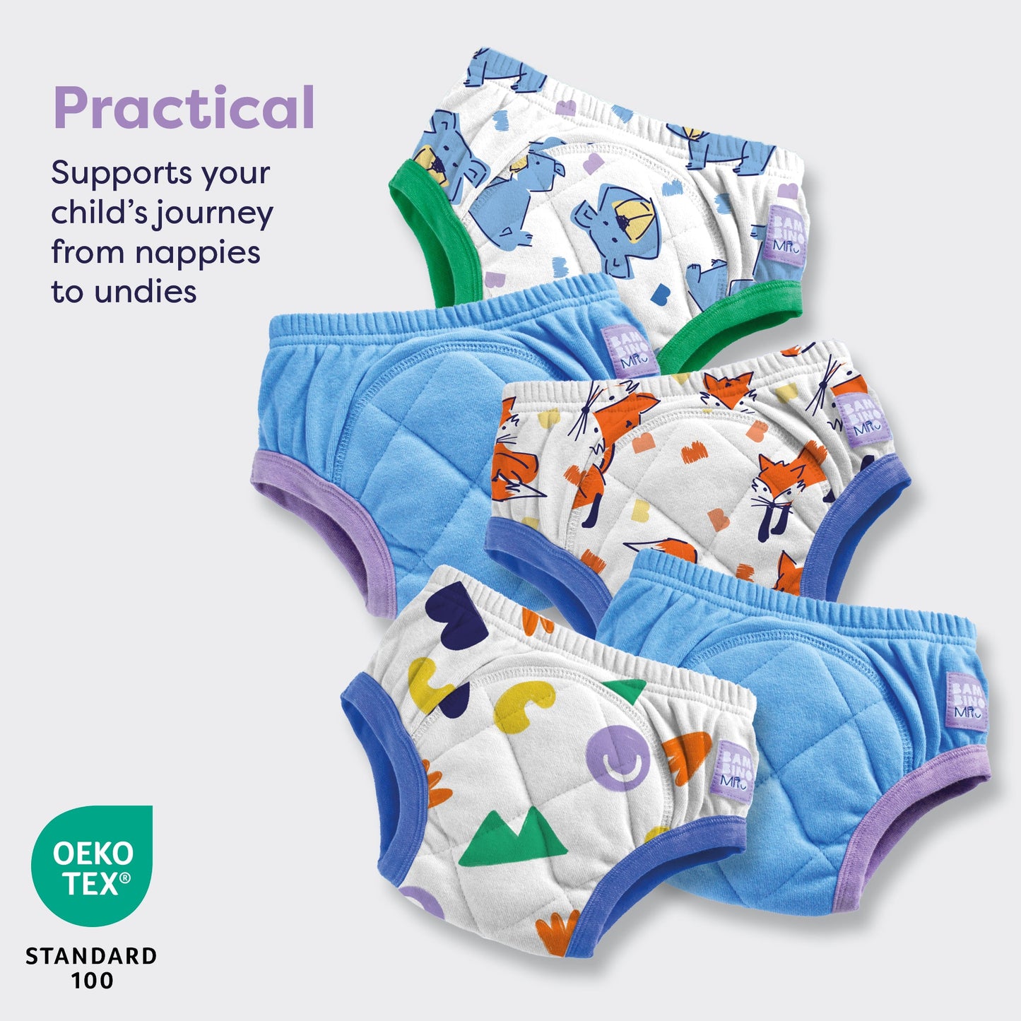 5 Pack Reusable Potty Training Pants in Mixed Sky - Enhanced Design Bambino Mio (UK)