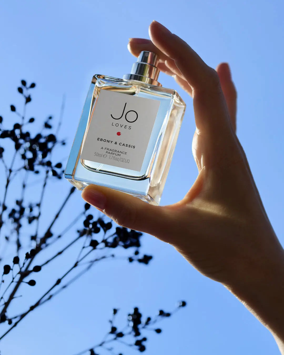 Ebony & Cassis - A Fragrance Jo Loves