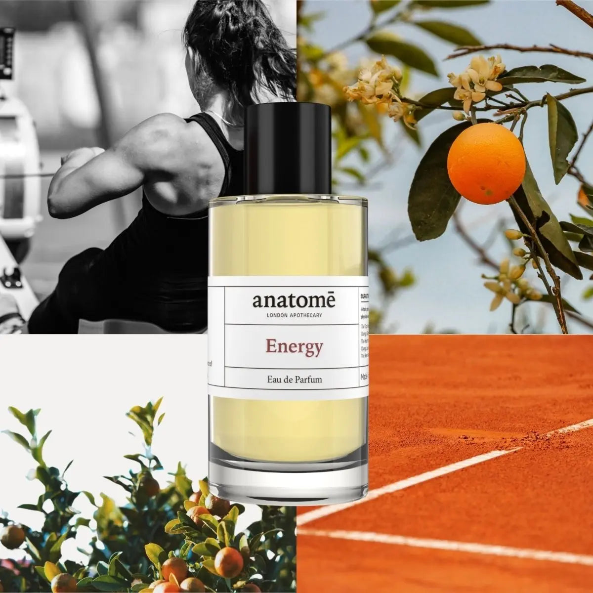 Energy Functional Parfum 10ml anatomē