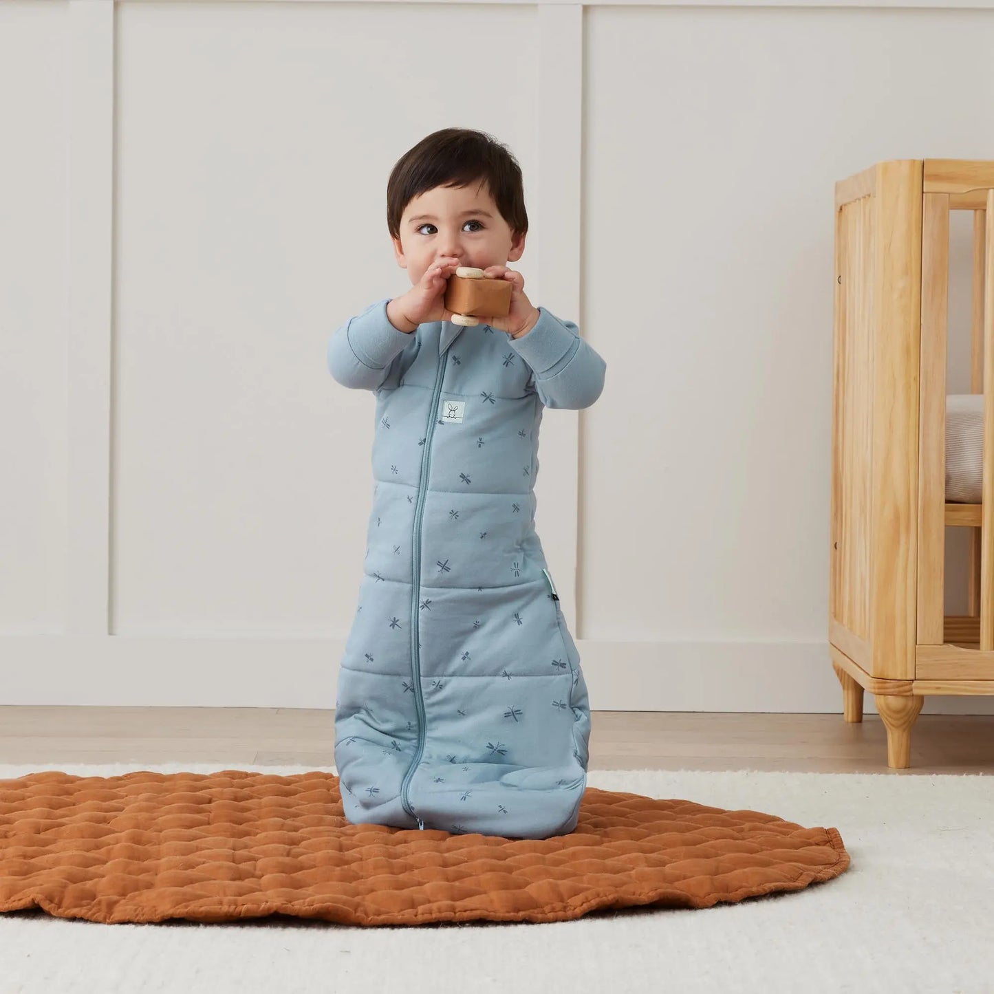 ErgoPouch - Organic  Winter Jersey Sleeping Bag - Dragonflies - 3.5 TOG ergoPouch
