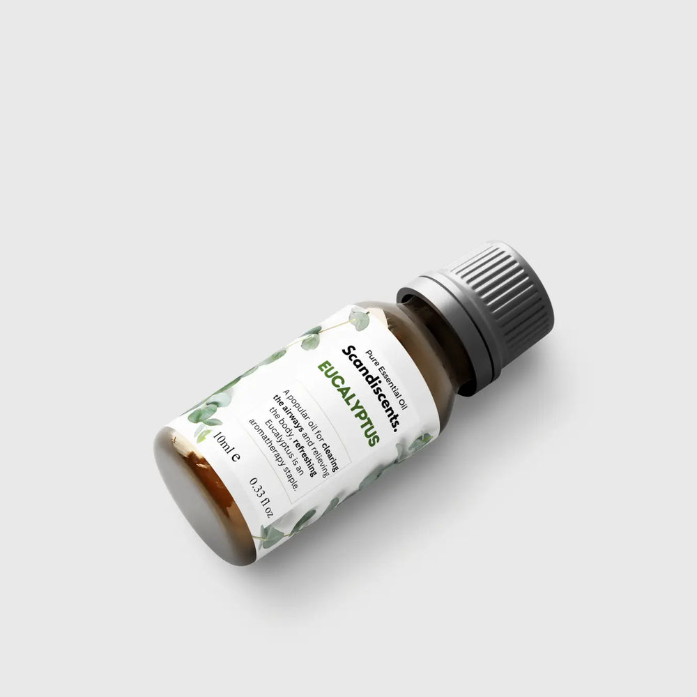Eucalyptus Scandiscents