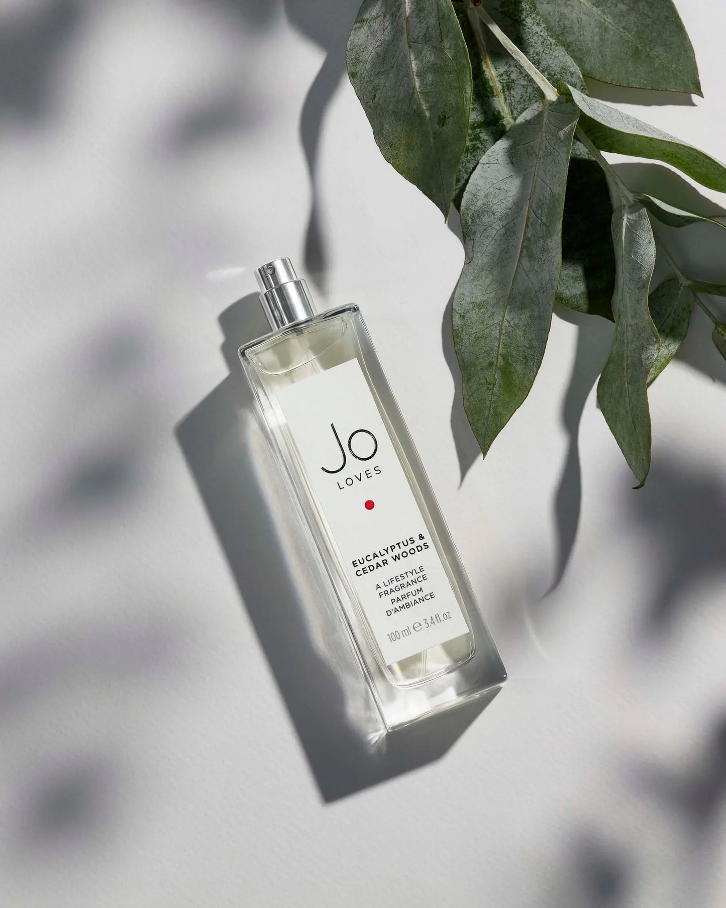 Eucalyptus & Cedar Woods - A Lifestyle Fragance Jo Loves