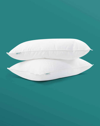 Feels Like Down Pillows (Twin Pack) Kally Sleep