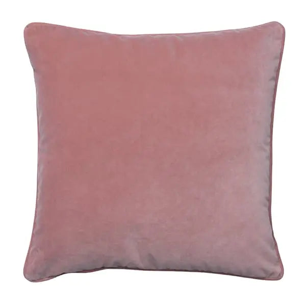 Firepit Rose, Hollowfibre, Cushion Eco-conscious & Velvet Plain Andrew Martin