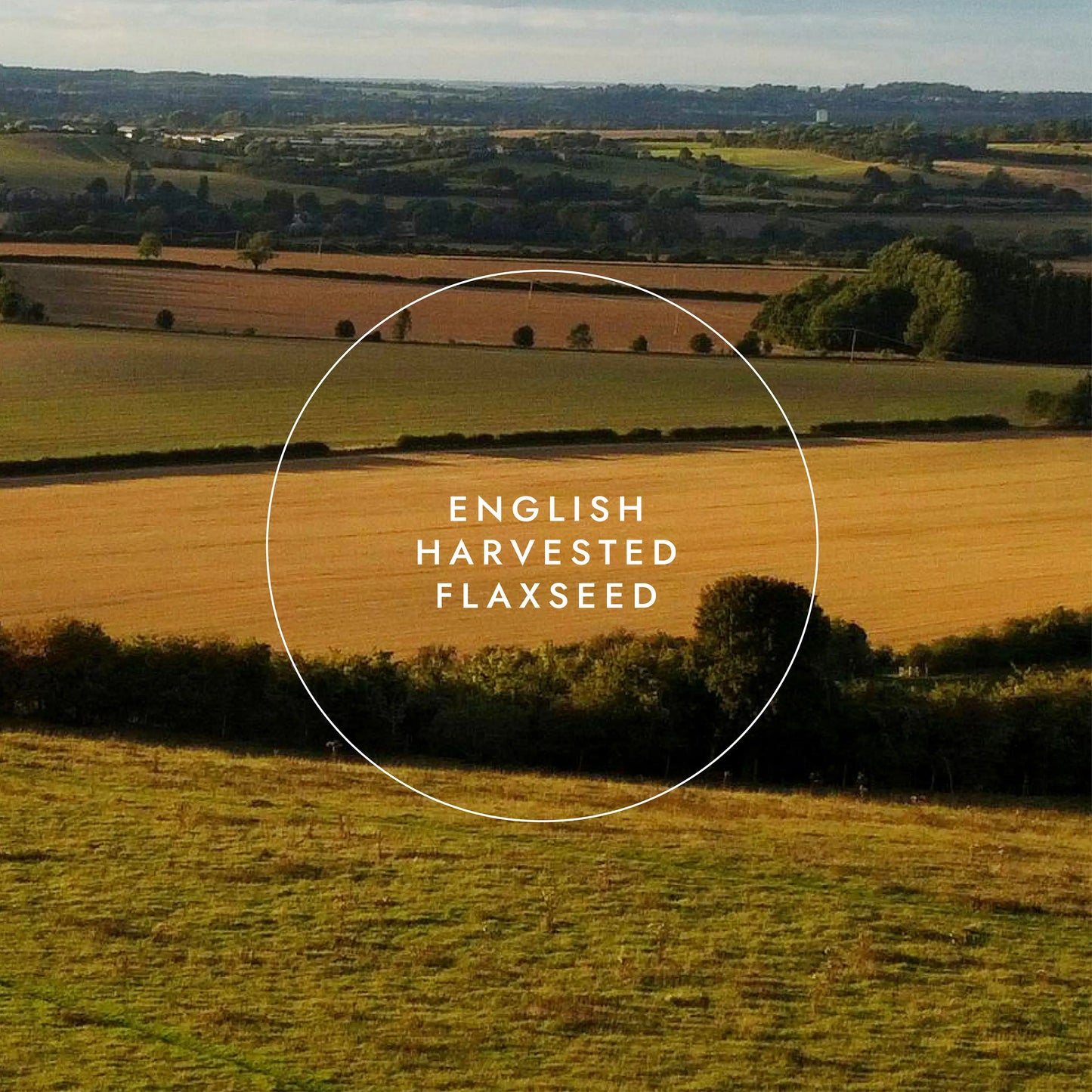 Organic Flaxseed Oil 250ml Fushi Wellbeing