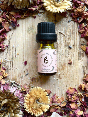 Full Set of 8 Organic Essential Oils + Treat! bcalm