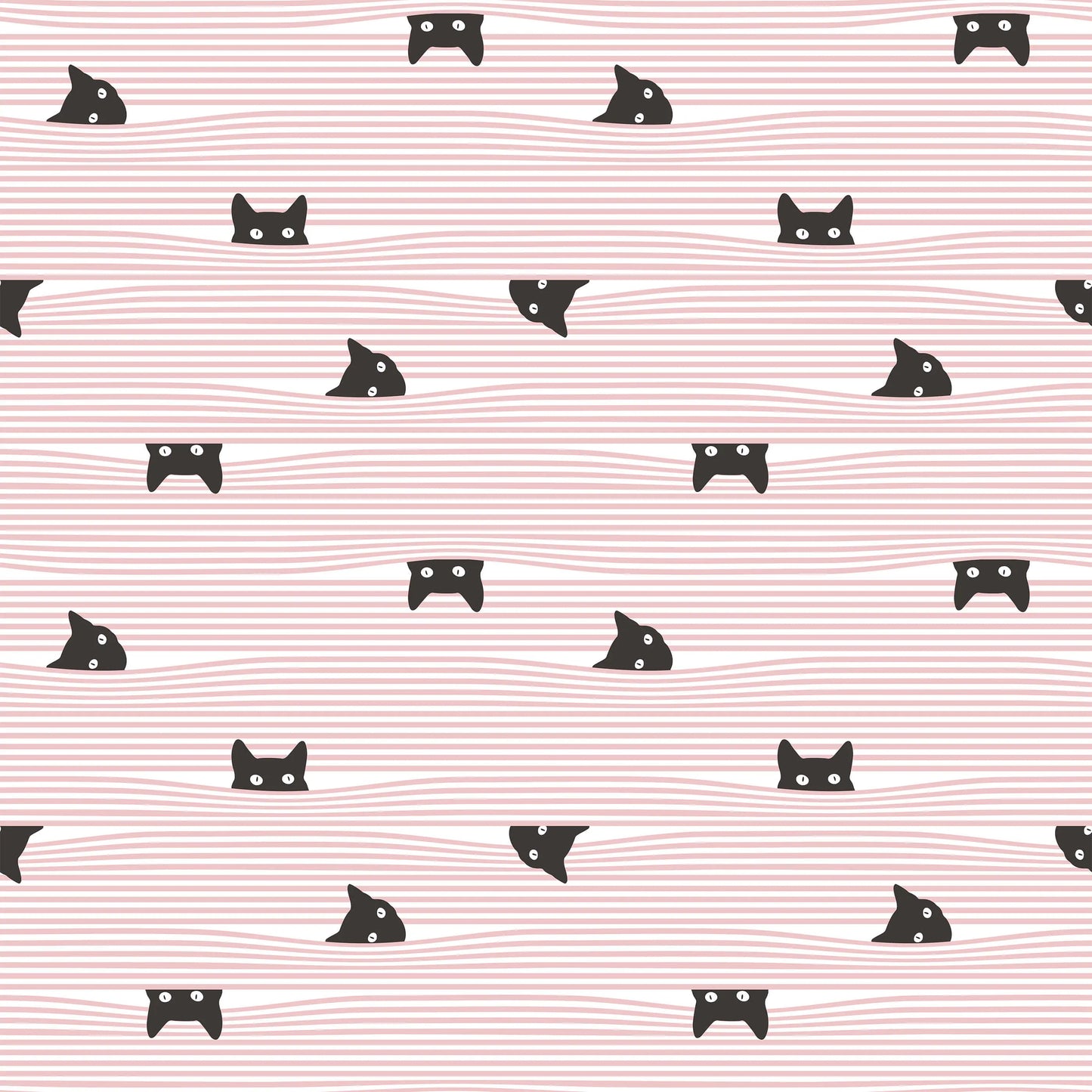 Gato Bobbi Beck