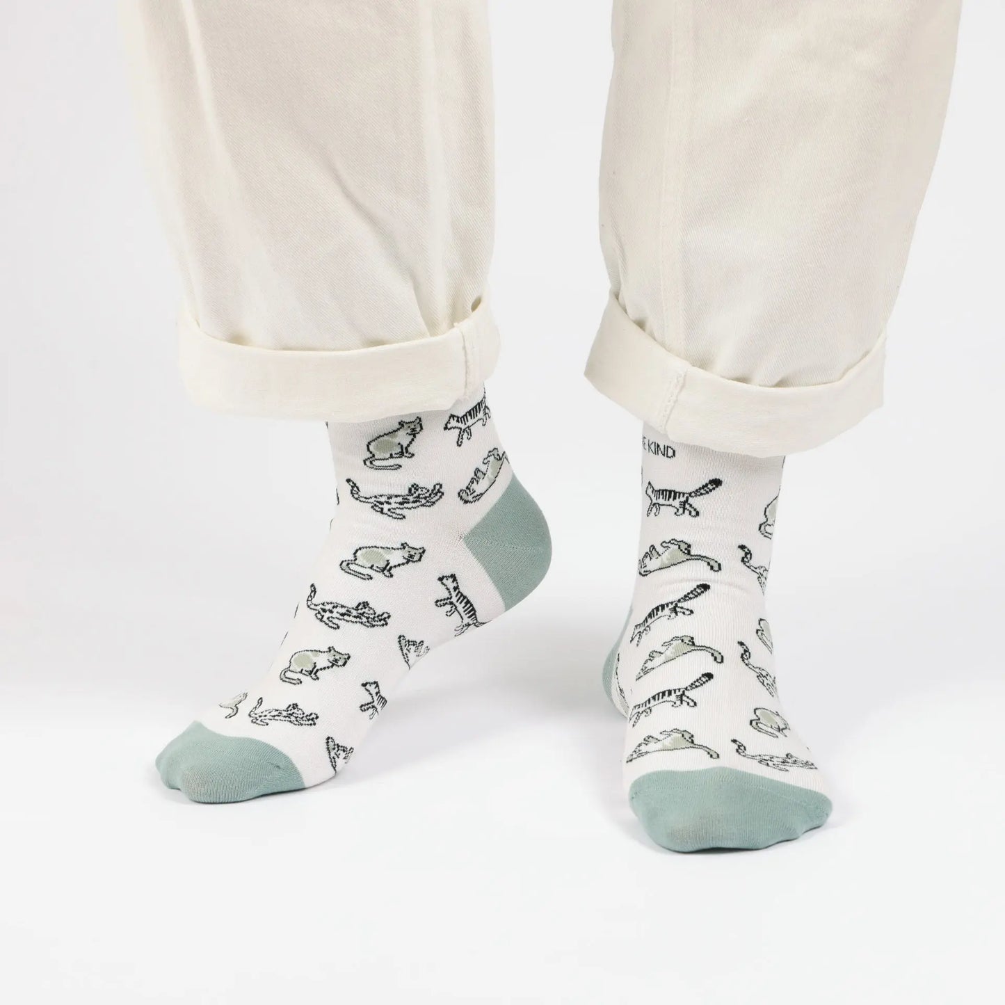 Green Cat Pet Pair Bamboo Sock Set Bare Kind