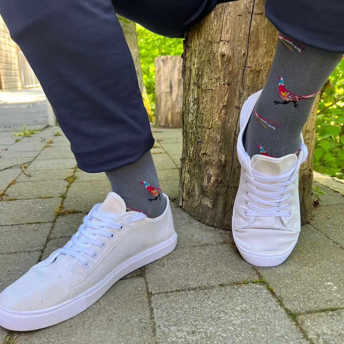 Grey Pheasant Bamboo Socks Swole Panda