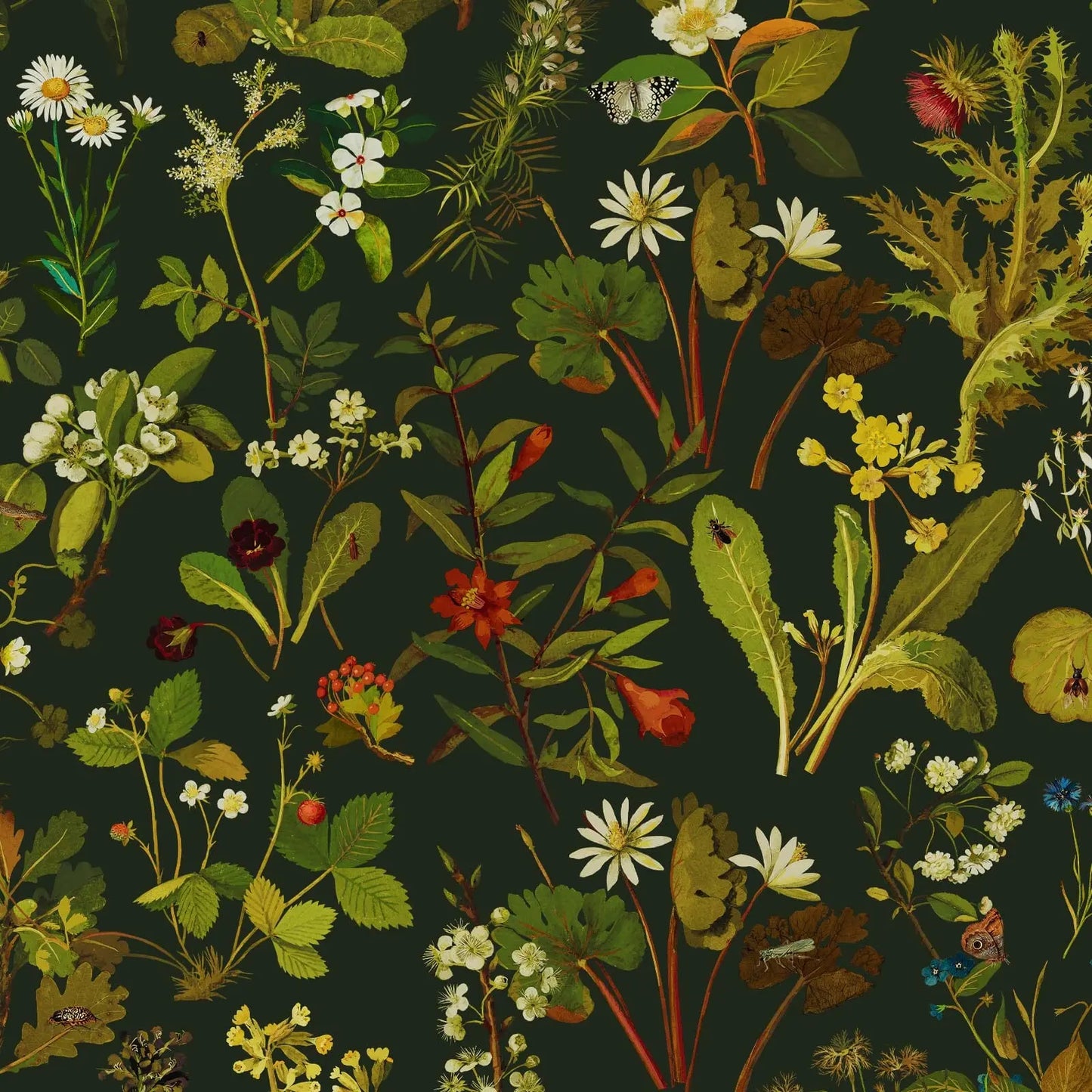 HERBARIUM Wallpaper - Forest Green-Spruce House of Hackney