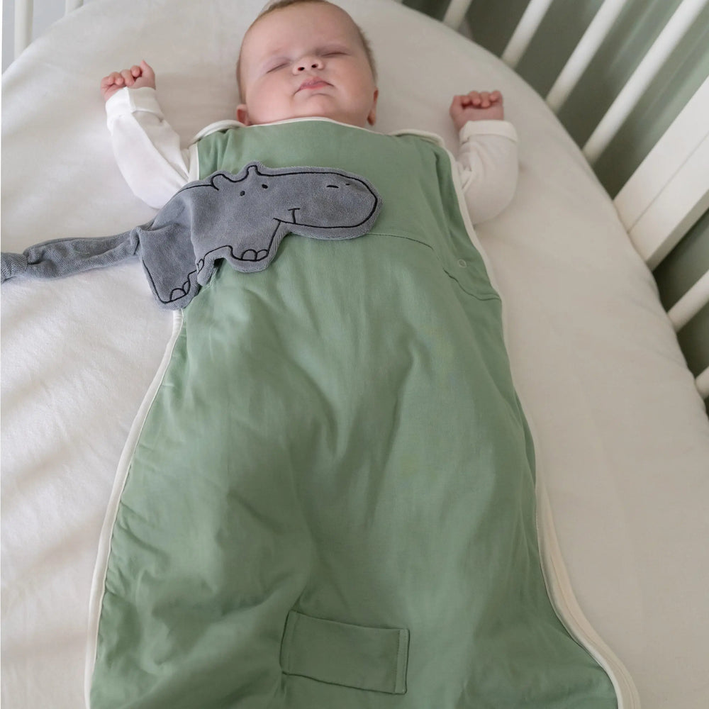 Hippo Comforters (Spare, Pack of 2) Pure Earth Collection