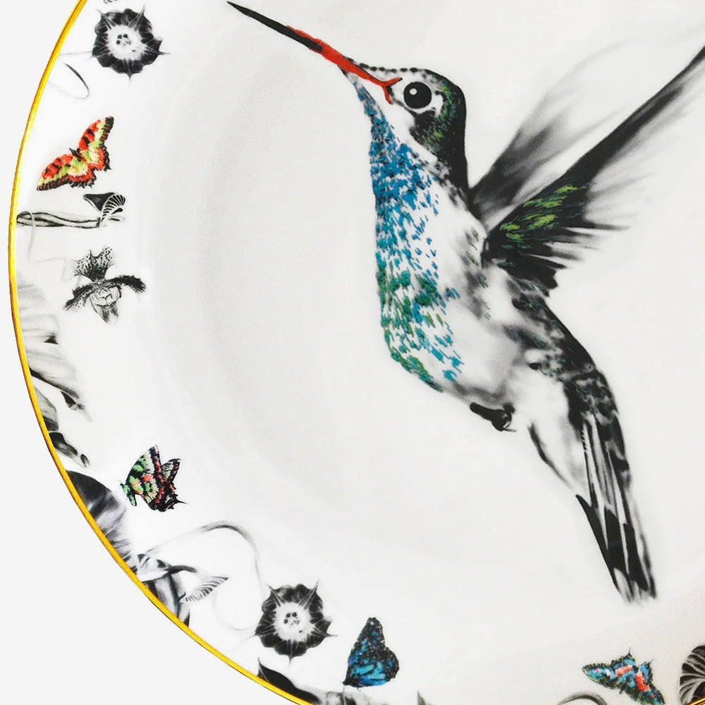 Hummingbird Bone China Plate - Hector Susannah Weiland Collections