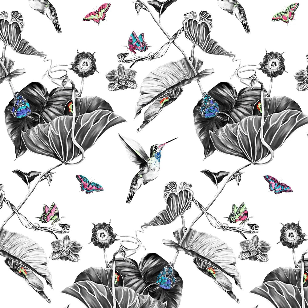 Hummingbird Wallpaper - Multi Susannah Weiland Collections