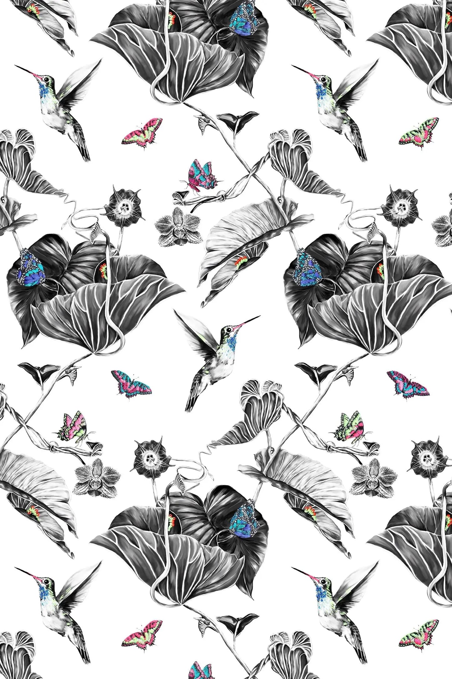 Hummingbird Wallpaper - Multi Susannah Weiland Collections