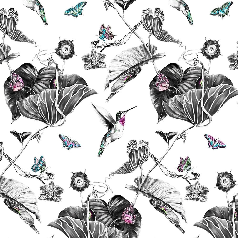 Hummingbird Wallpaper - Pink Susannah Weiland Collections