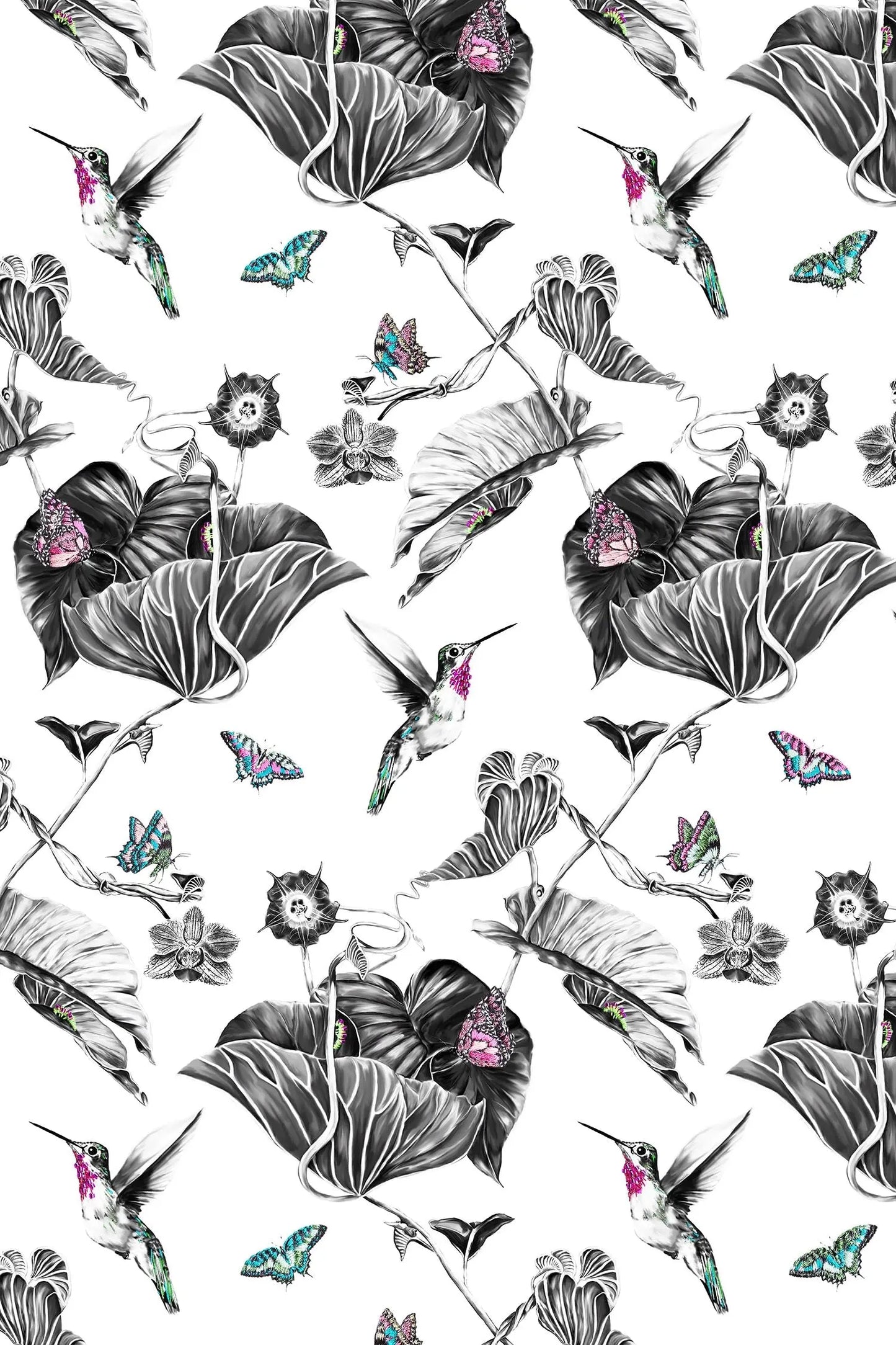 Hummingbird Wallpaper - Pink Susannah Weiland Collections