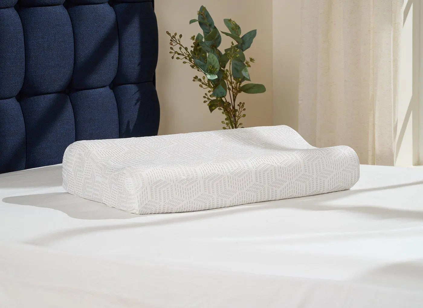Hyde & Sleep Memory Contour Ice Pillow Dreams